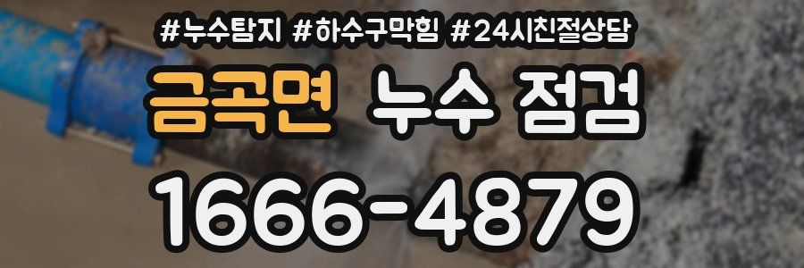 금곡면 누수 점검