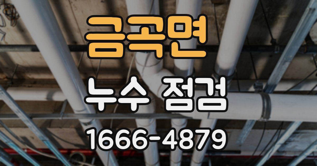 금곡면 누수 점검