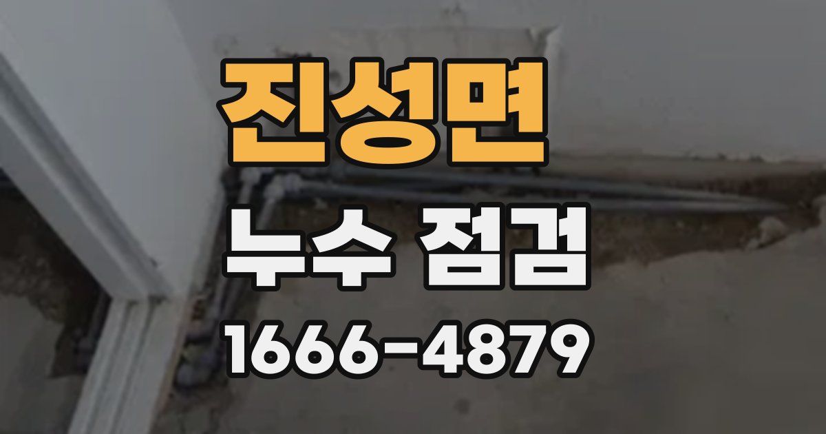 진성면 누수 점검