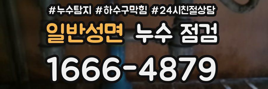 일반성면 누수 점검