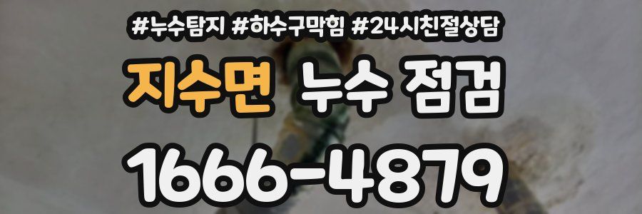 지수면 누수 점검