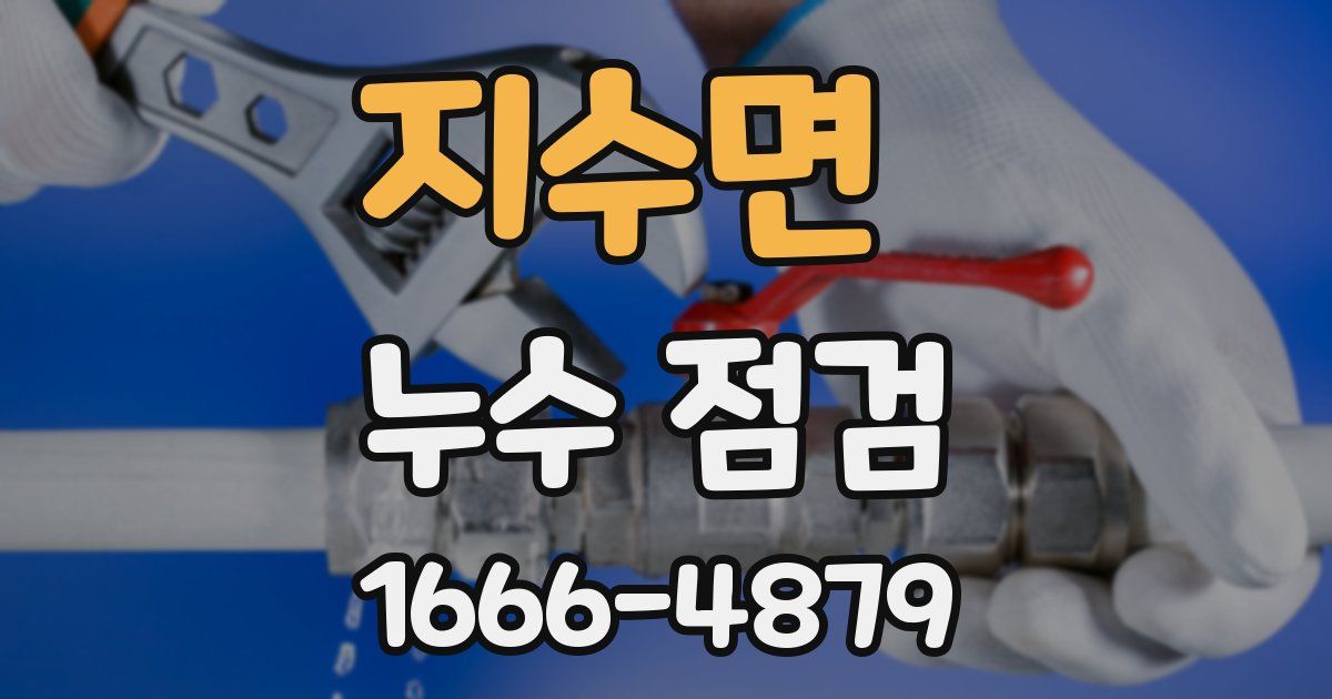 지수면 누수 점검