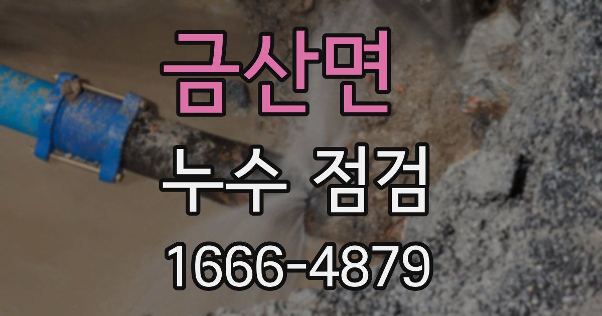 금산면 누수 점검