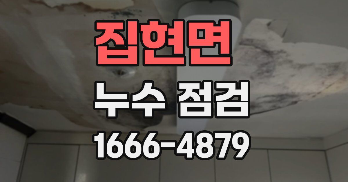 집현면 누수 점검