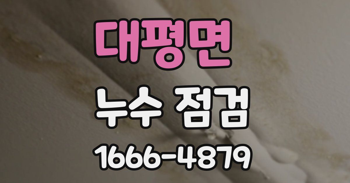 대평면 누수 점검