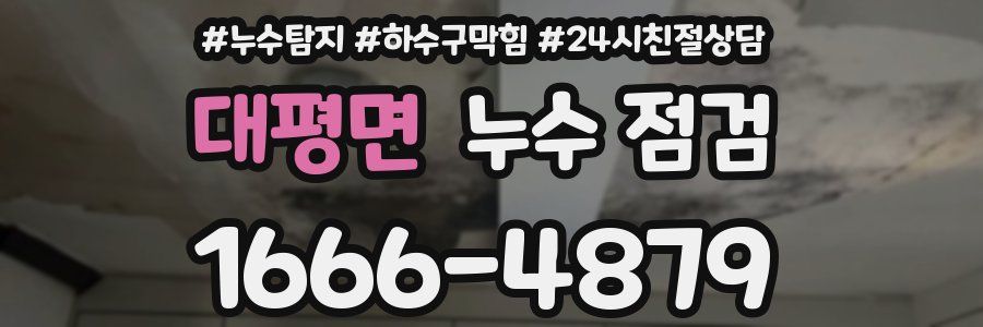 대평면 누수 점검