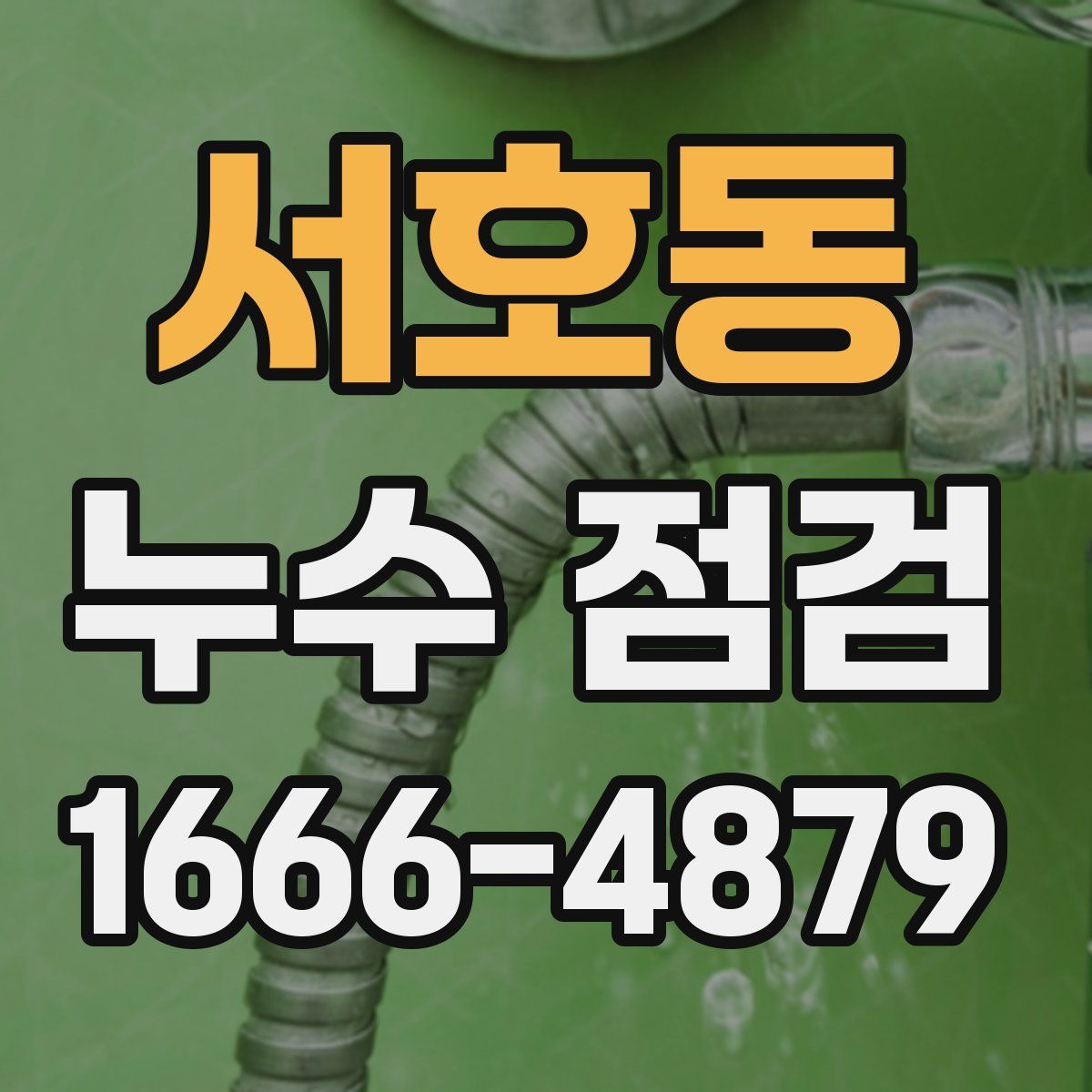서호동 누수 점검