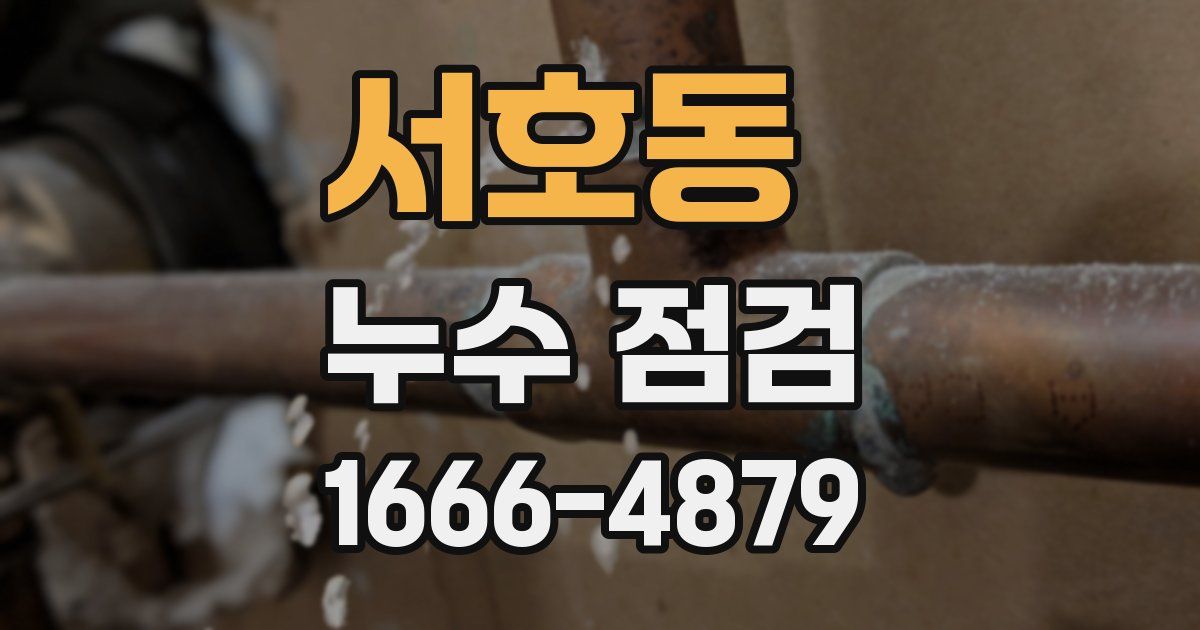 서호동 누수 점검