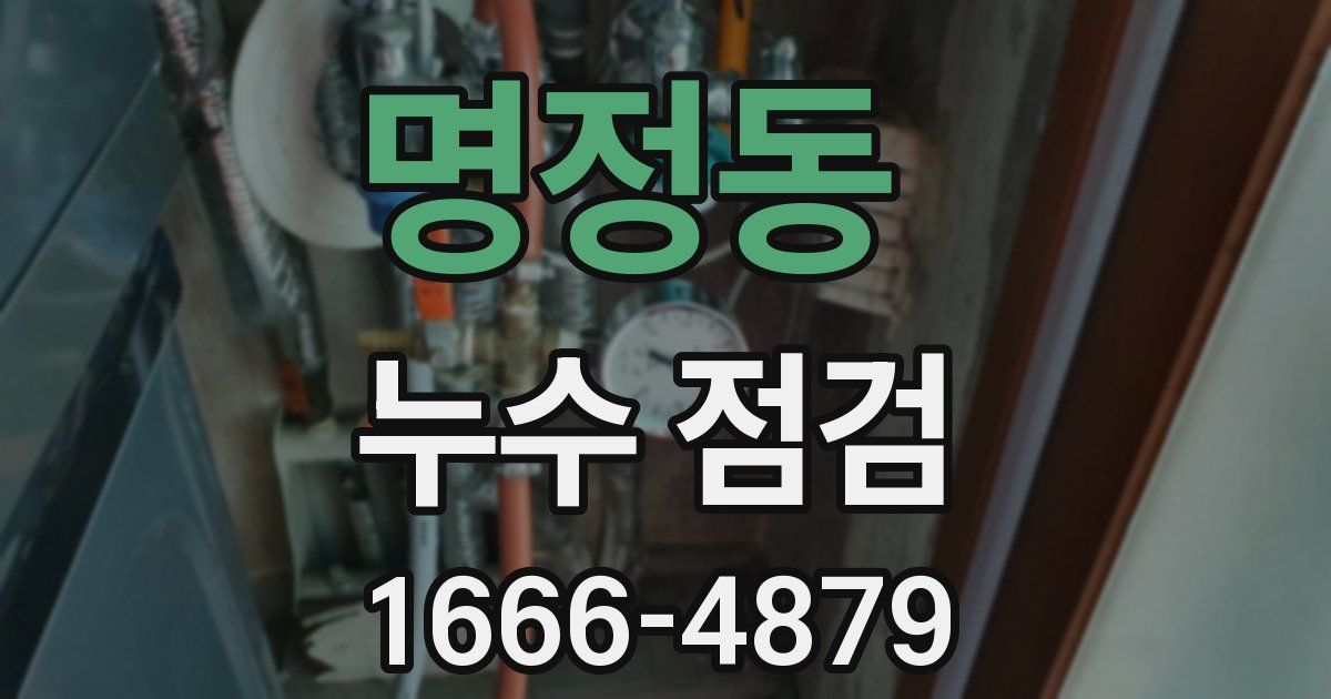 명정동 누수 점검
