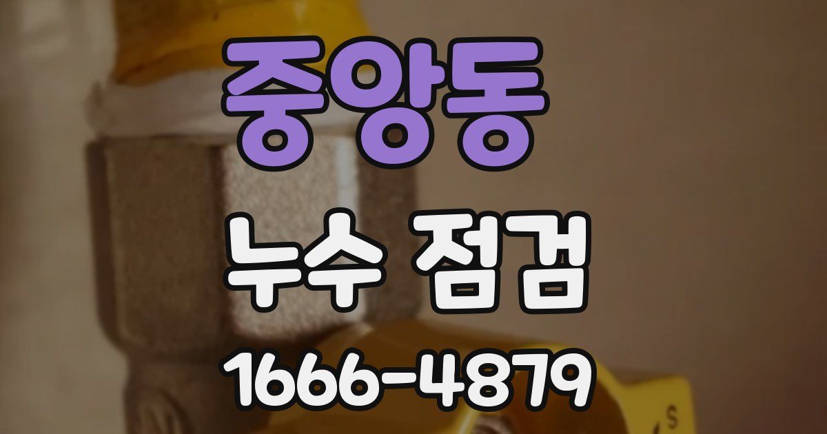 중앙동 누수 점검