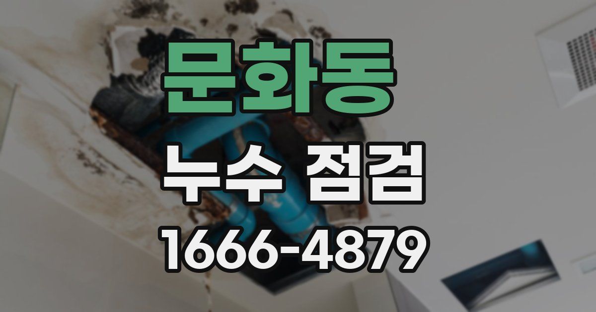 문화동 누수 점검
