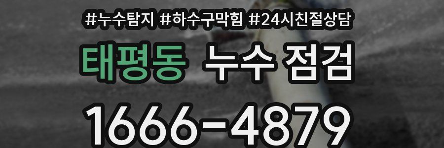 태평동 누수 점검
