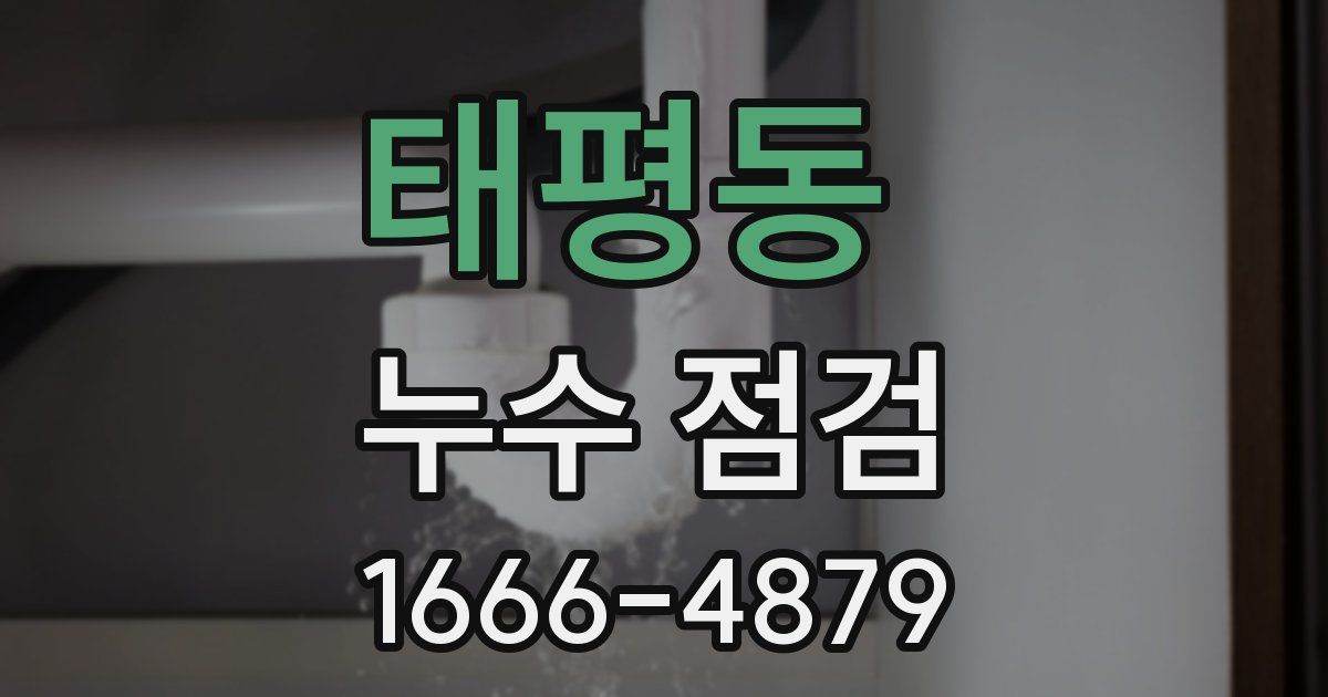 태평동 누수 점검