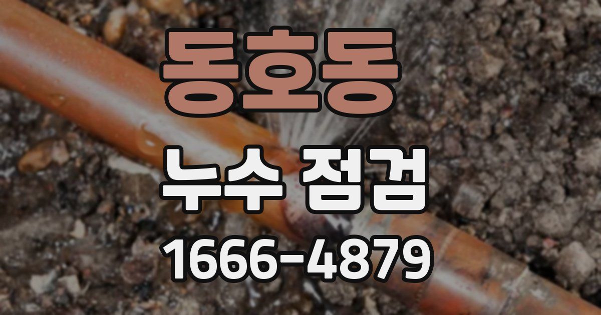 동호동 누수 점검