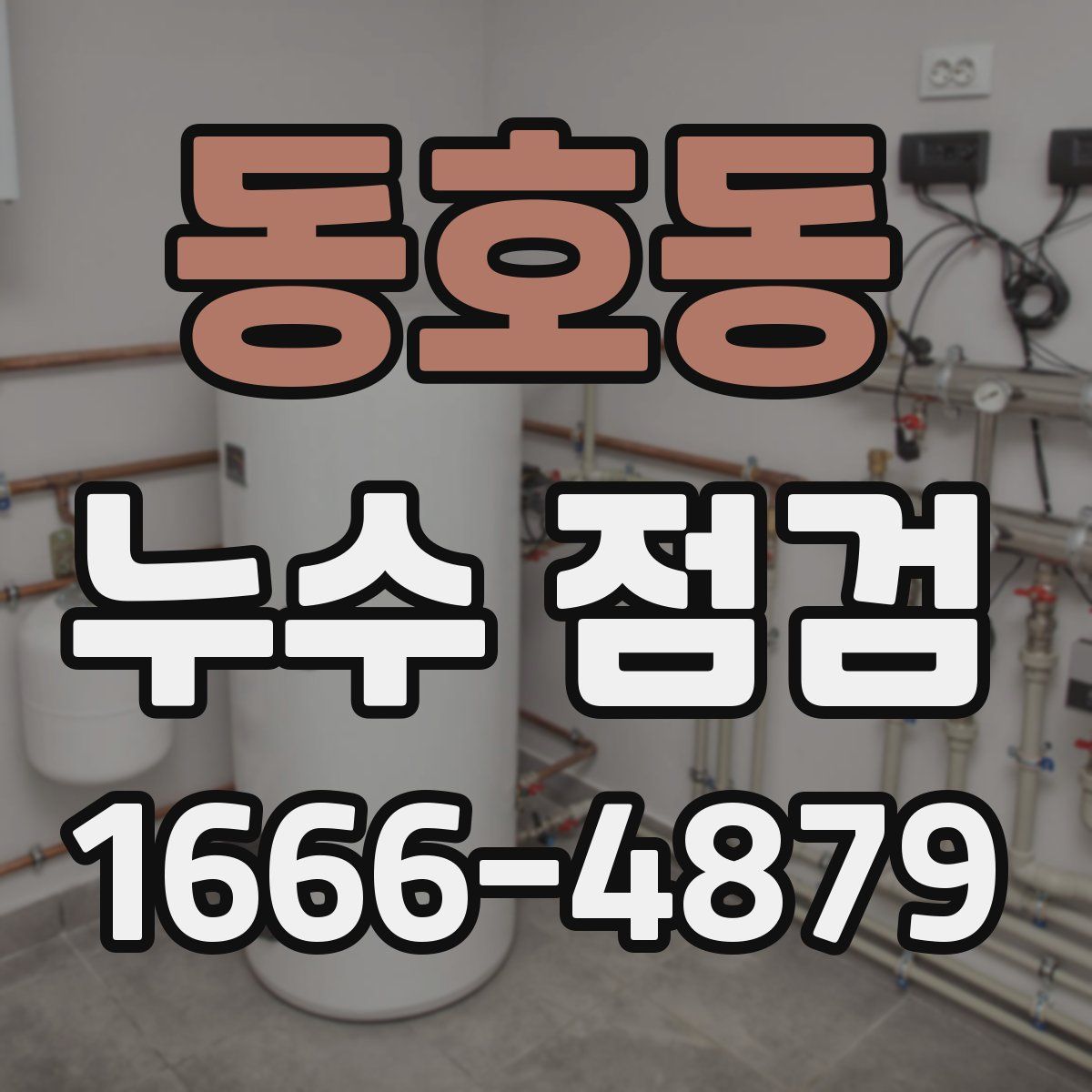 동호동 누수 점검