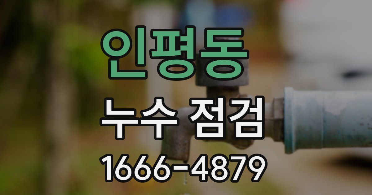 인평동 누수 점검