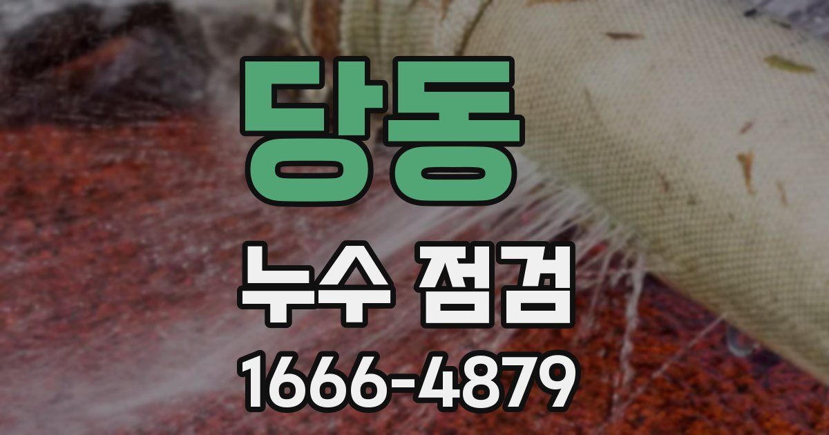당동 누수 점검