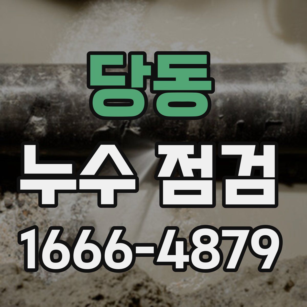 당동 누수 점검