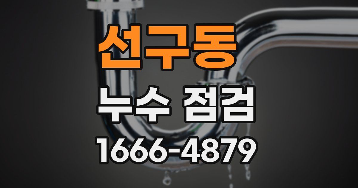 선구동 누수 점검