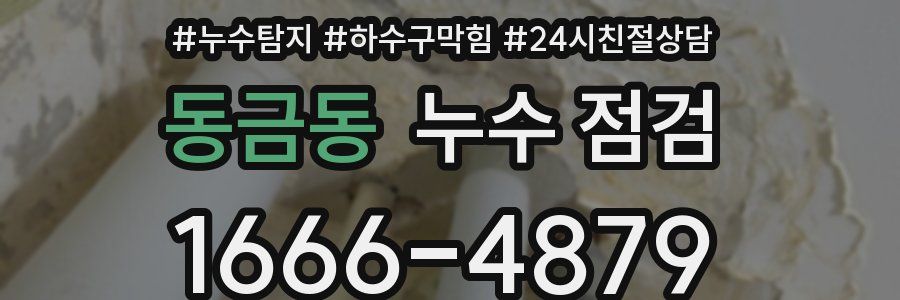 동금동 누수 점검