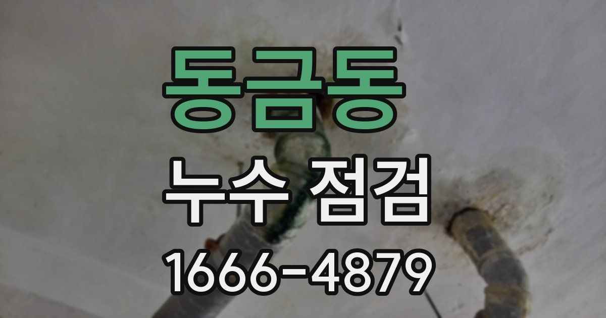 동금동 누수 점검