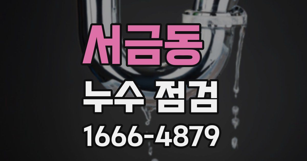 서금동 누수 점검