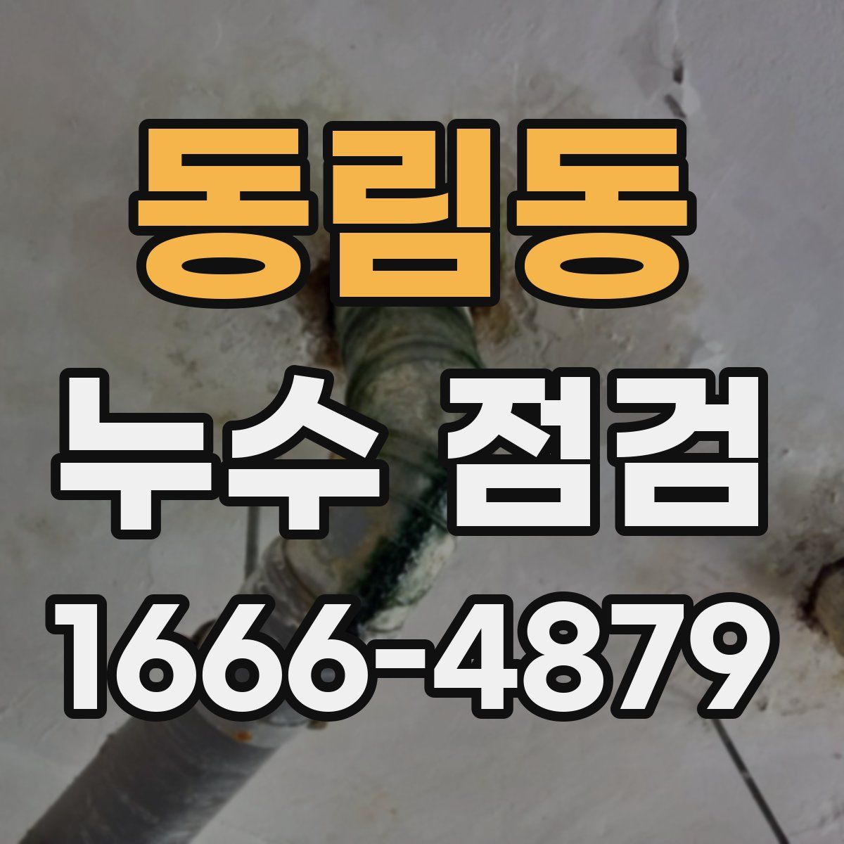 동림동 누수 점검
