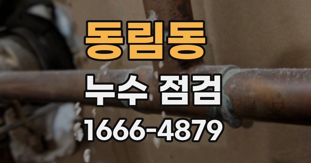 동림동 누수 점검