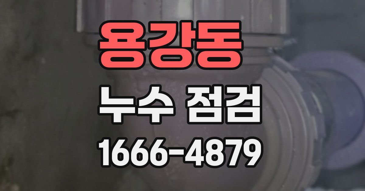 용강동 누수 점검