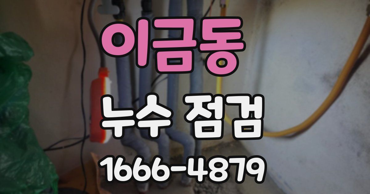 이금동 누수 점검