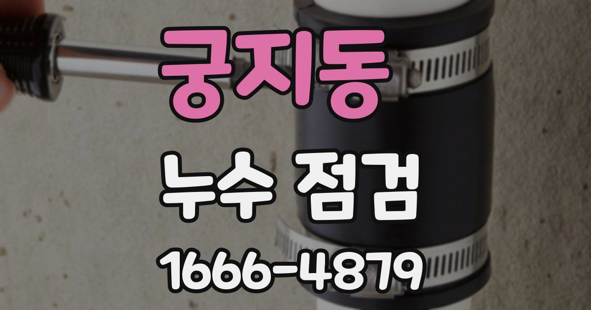 궁지동 누수 점검