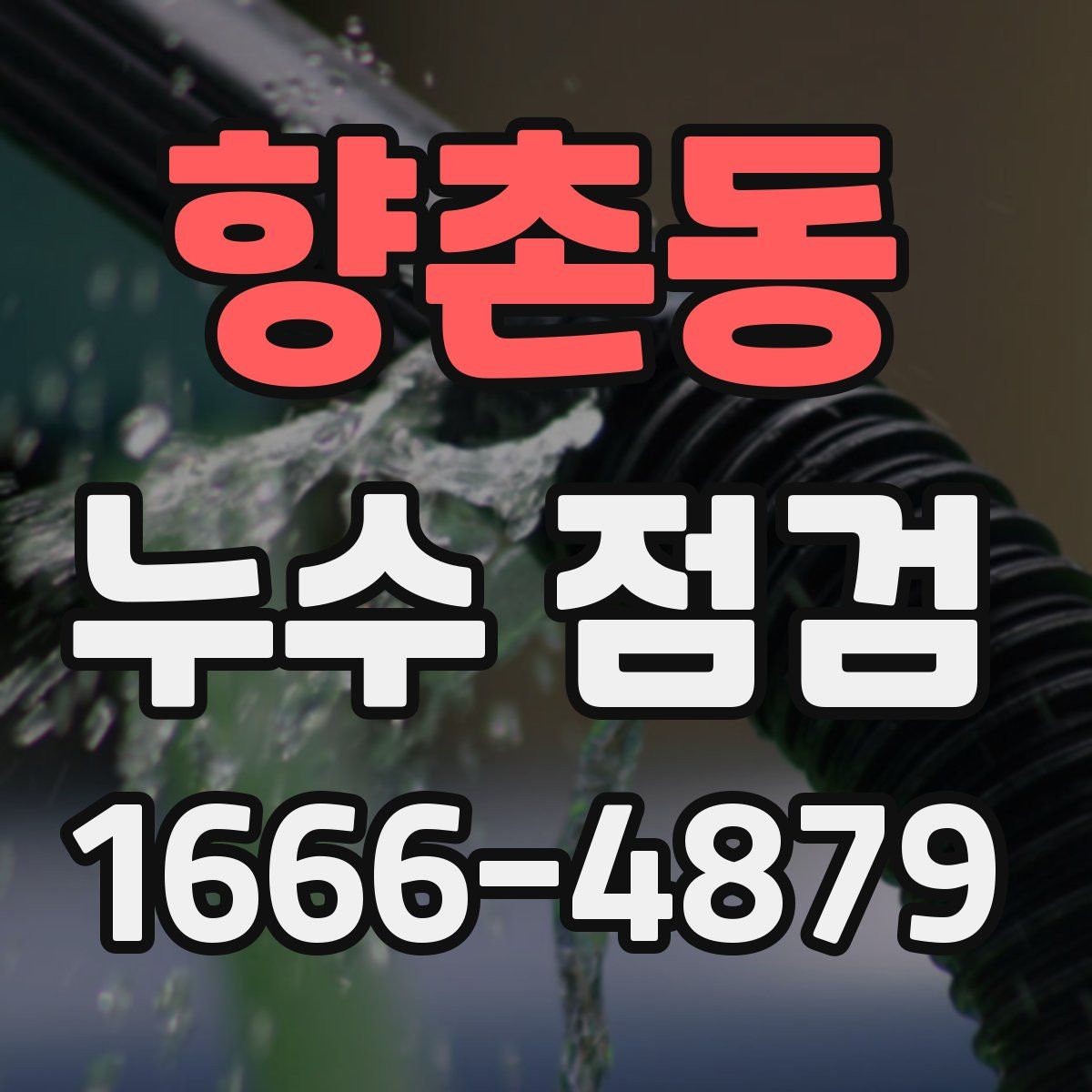 향촌동 누수 점검