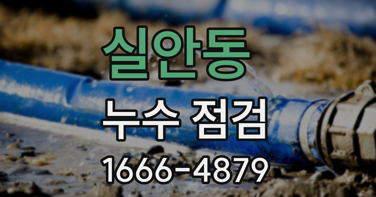 실안동 누수 점검