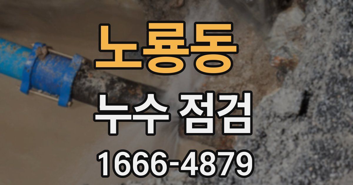 노룡동 누수 점검