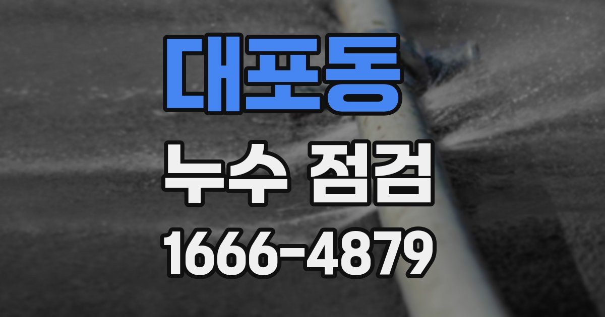 대포동 누수 점검