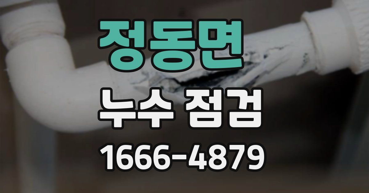 정동면 누수 점검