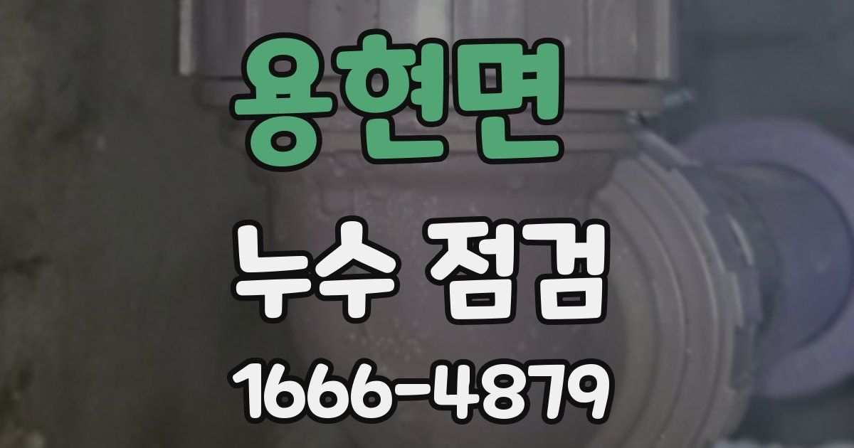 용현면 누수 점검