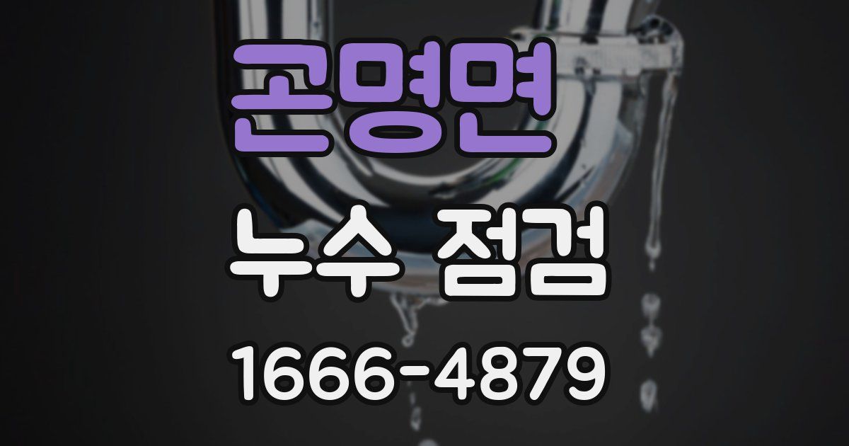 곤명면 누수 점검
