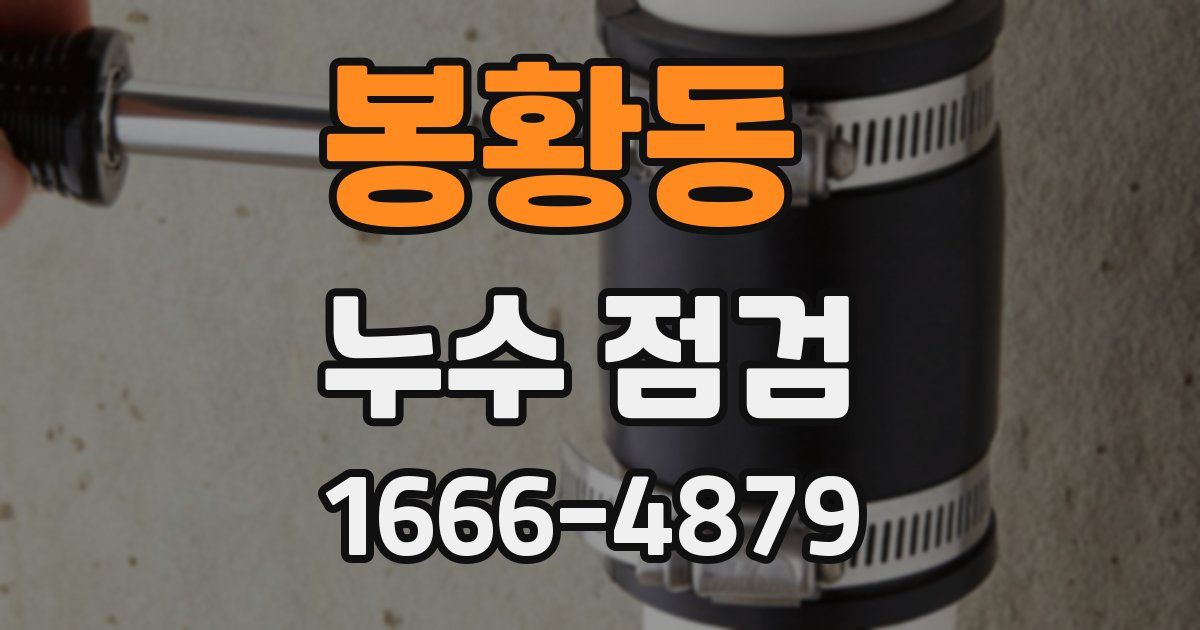 봉황동 누수 점검