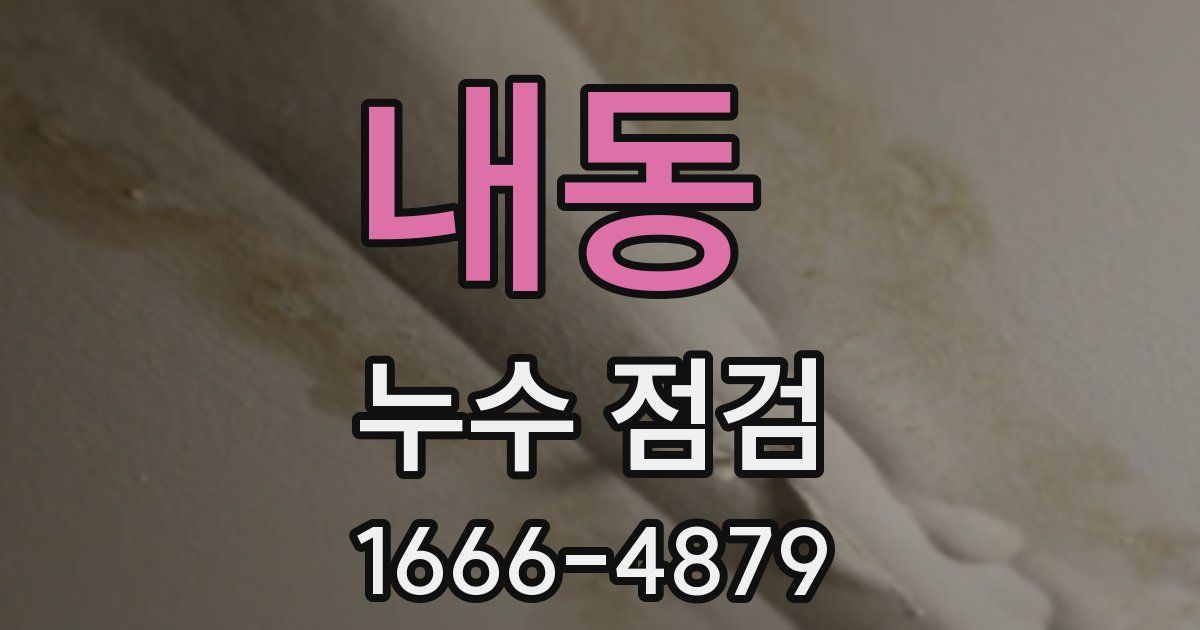 내동 누수 점검