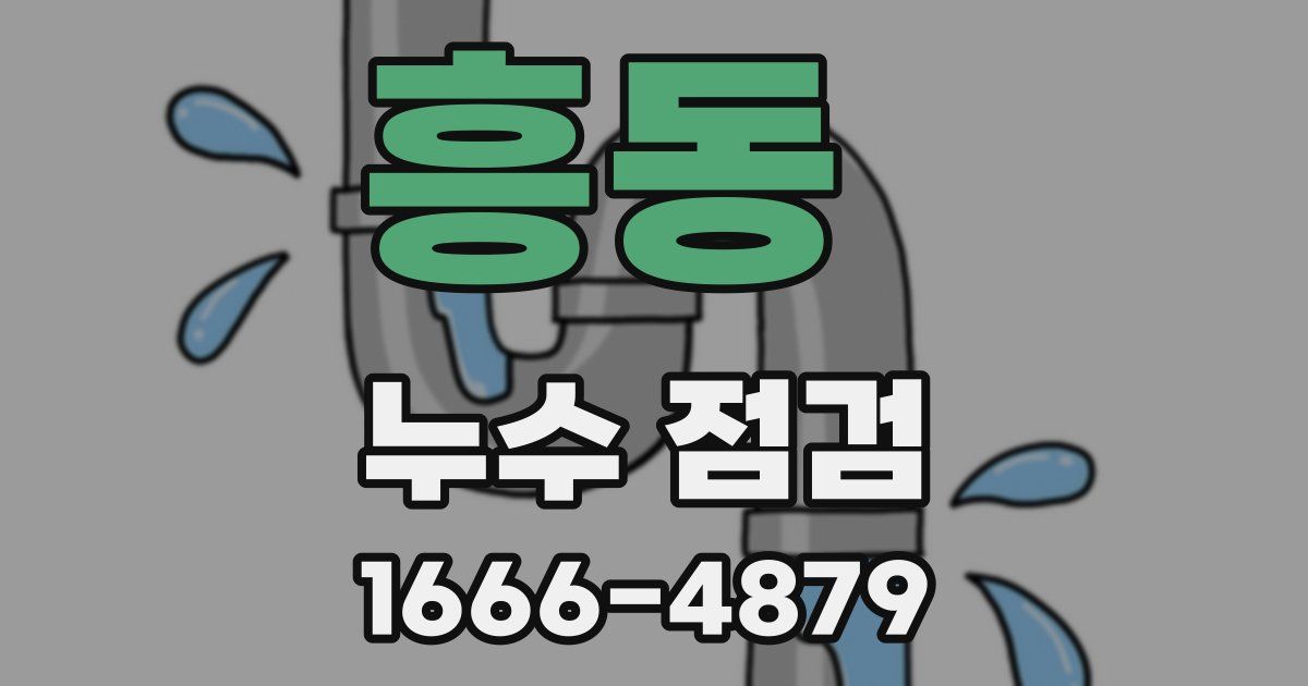 흥동 누수 점검