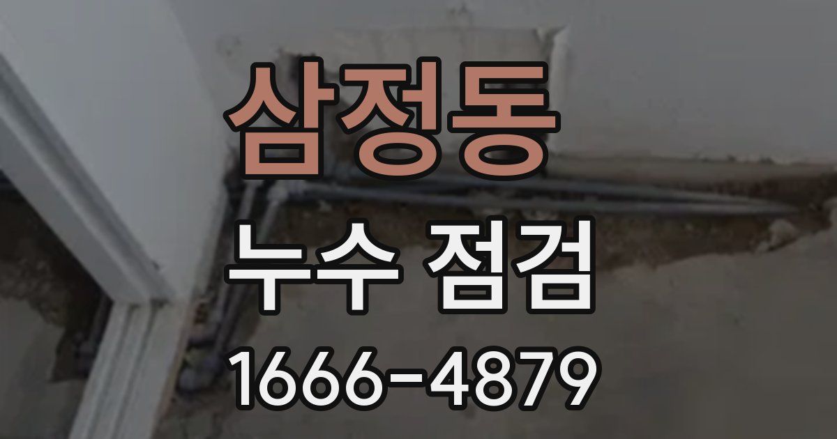 삼정동 누수 점검