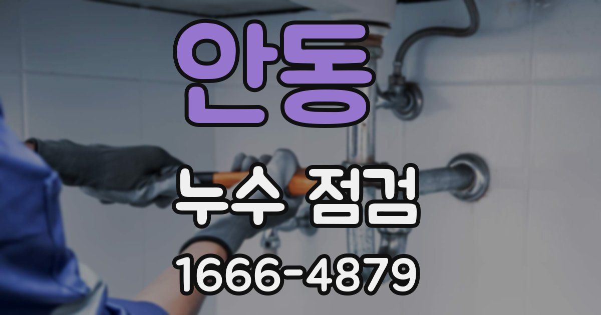 안동 누수 점검