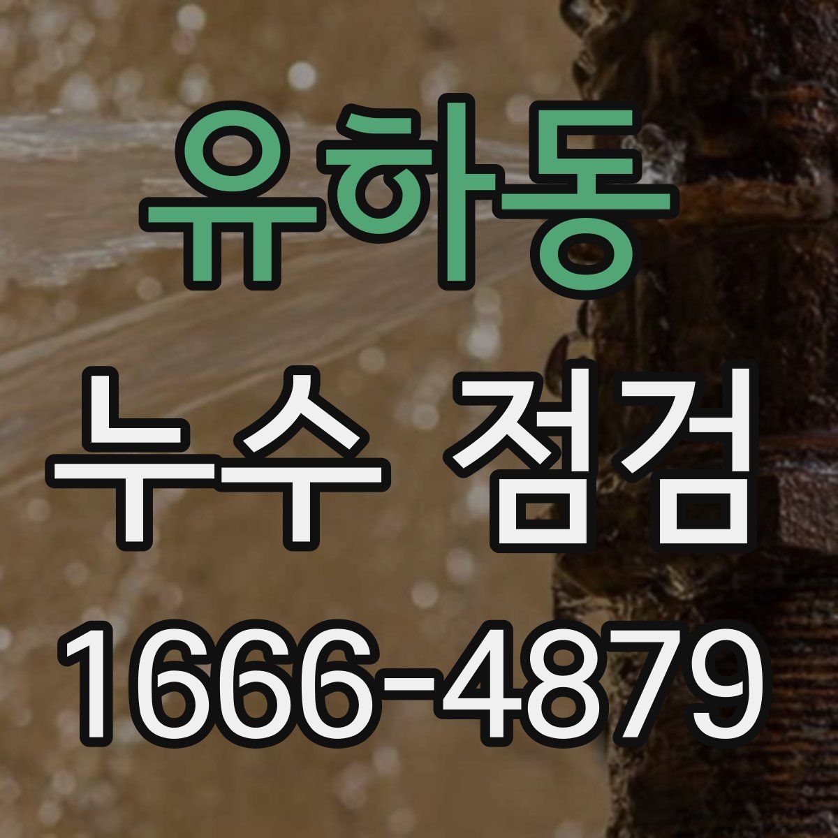 유하동 누수 점검