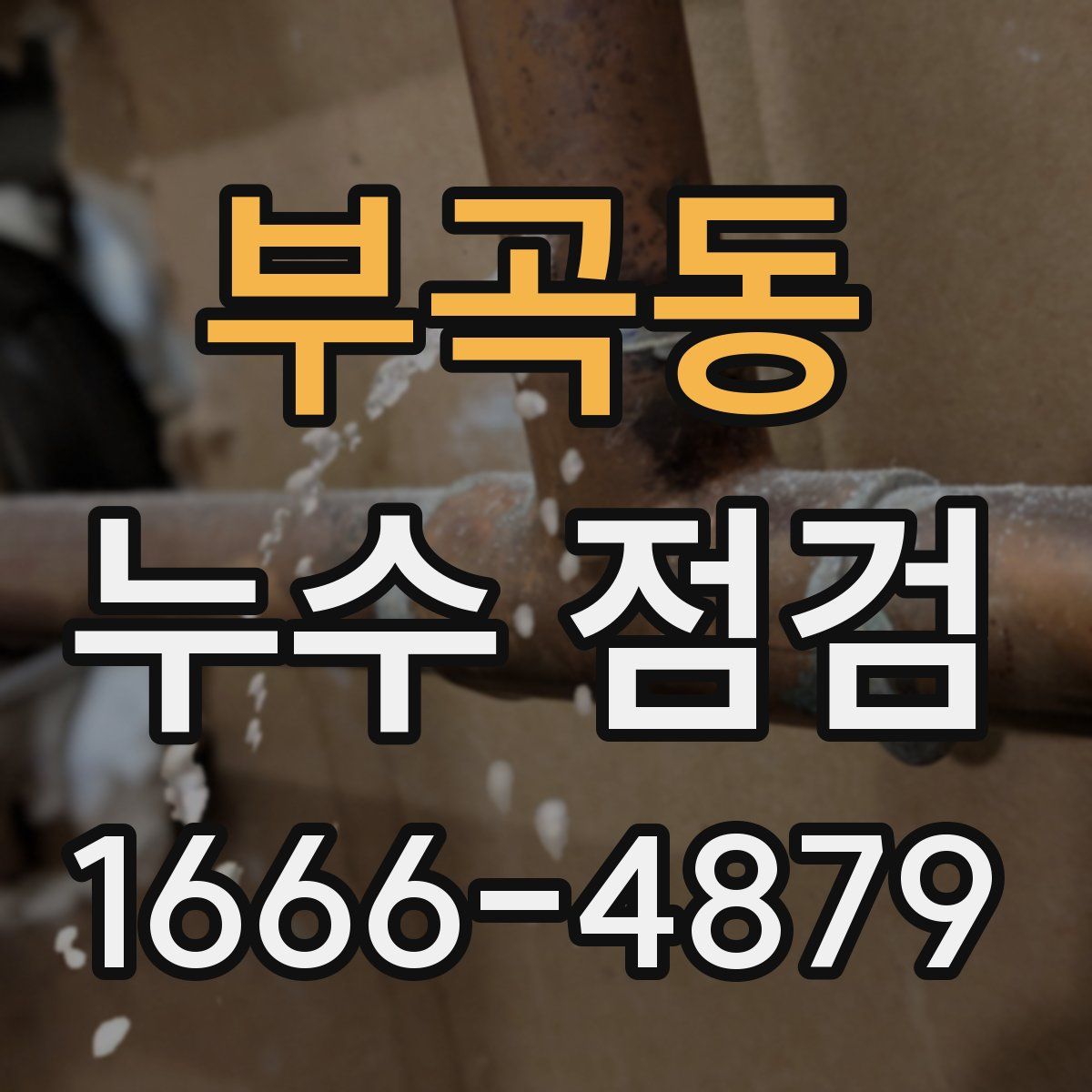 부곡동 누수 점검