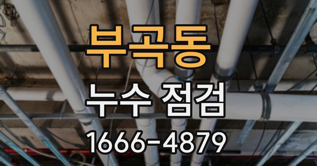 부곡동 누수 점검