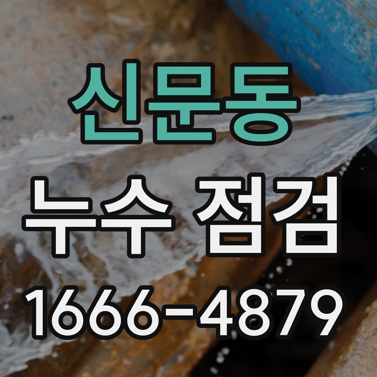 신문동 누수 점검