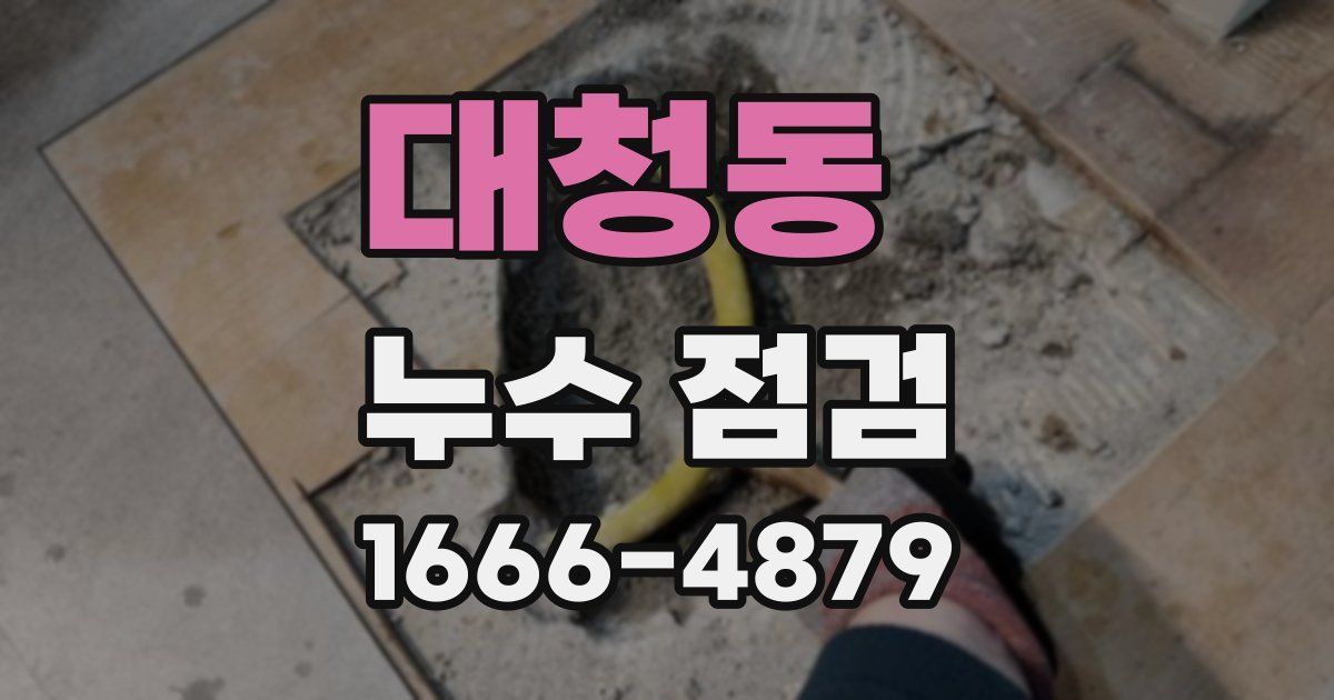 대청동 누수 점검