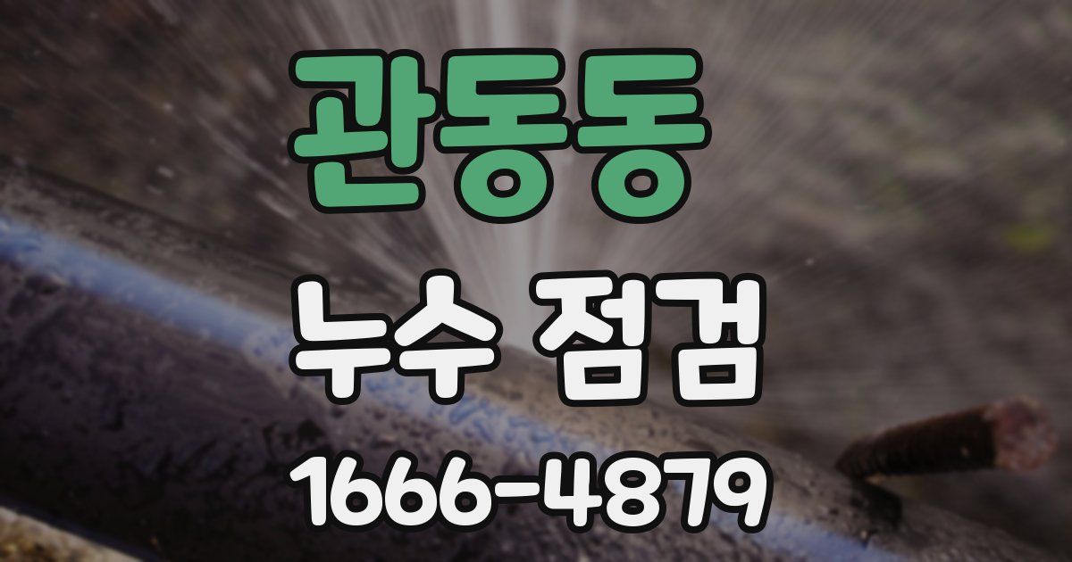 관동동 누수 점검