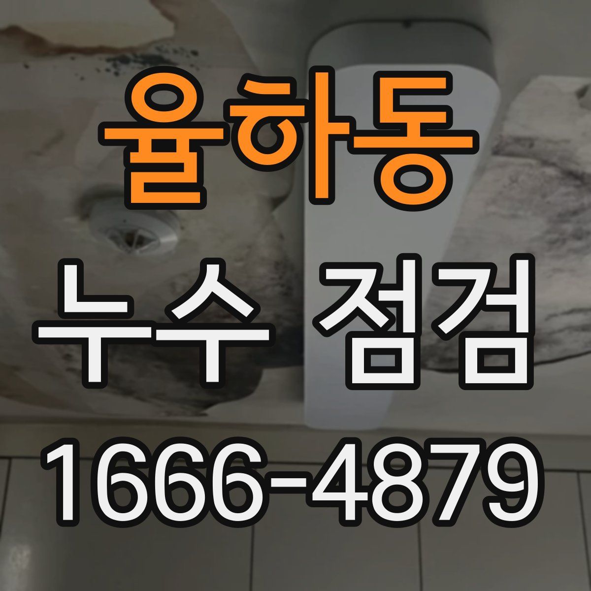 율하동 누수 점검